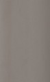 LAMINAT-F500 ST20 2800x1310x0.8MM Inox metallic