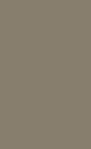  PŁYTA-U740/U740 ST9 2800x2070x10MM Taupe ciemny