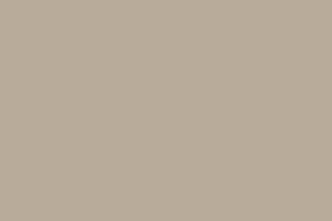  PŁYTA 2740L NOIR NUTMEG BROWN 2800x1300x19MM
