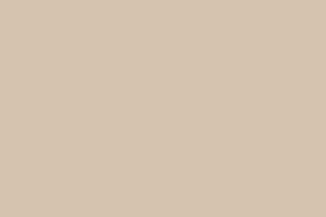  PŁYTA 2741L NOIR VANILLA CREAM 2800x1300x19MM