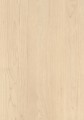 LAMINAT-H1732 ST9 2800x1310x0.8MM Brzoza piaskowa