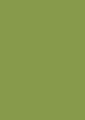 LAMINAT-U626 ST9 2800x1310x0.8MM Zieleń kiwi