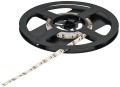 Taśma LED 2074  jednokolorowa Eco, 8mm, 12V/9.6W/50m, 120 LED/m, Biały Zimny 5000K (833.74.315)