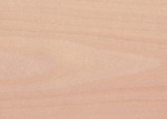 PŁYTA FORNIROWANA BUK 2800x2070x19MM